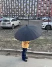 Фото превью товара - #1