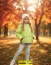 Фото превью товара - #4