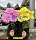 Фото превью товара - #6