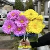 Фото превью товара - #2